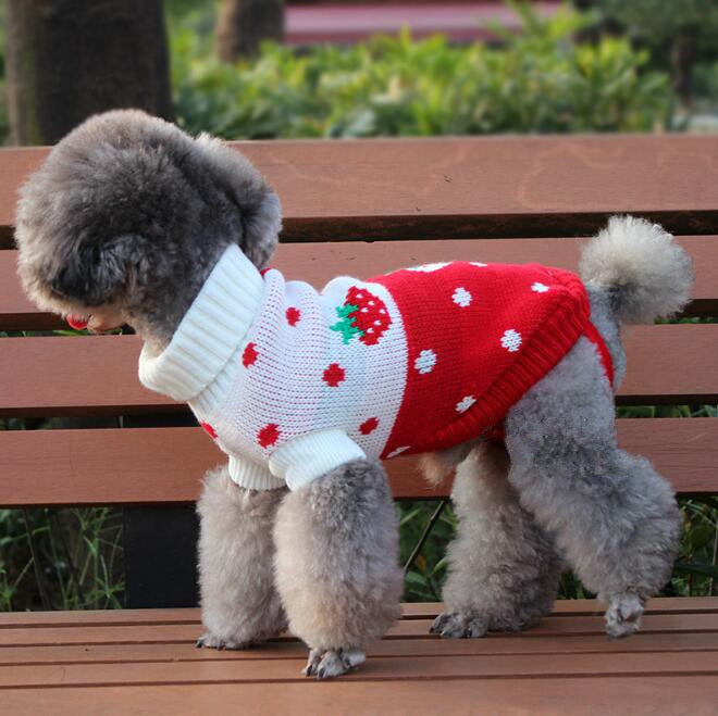 Dog Sweater, Pet Clothing, Knitted Pet Outfit   (Free Shipping)